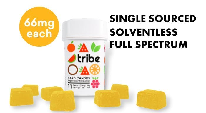 Tribe - Tribe | Indica | Lemon Edibles | 726mg | 11ct | 66mg/ea - 1