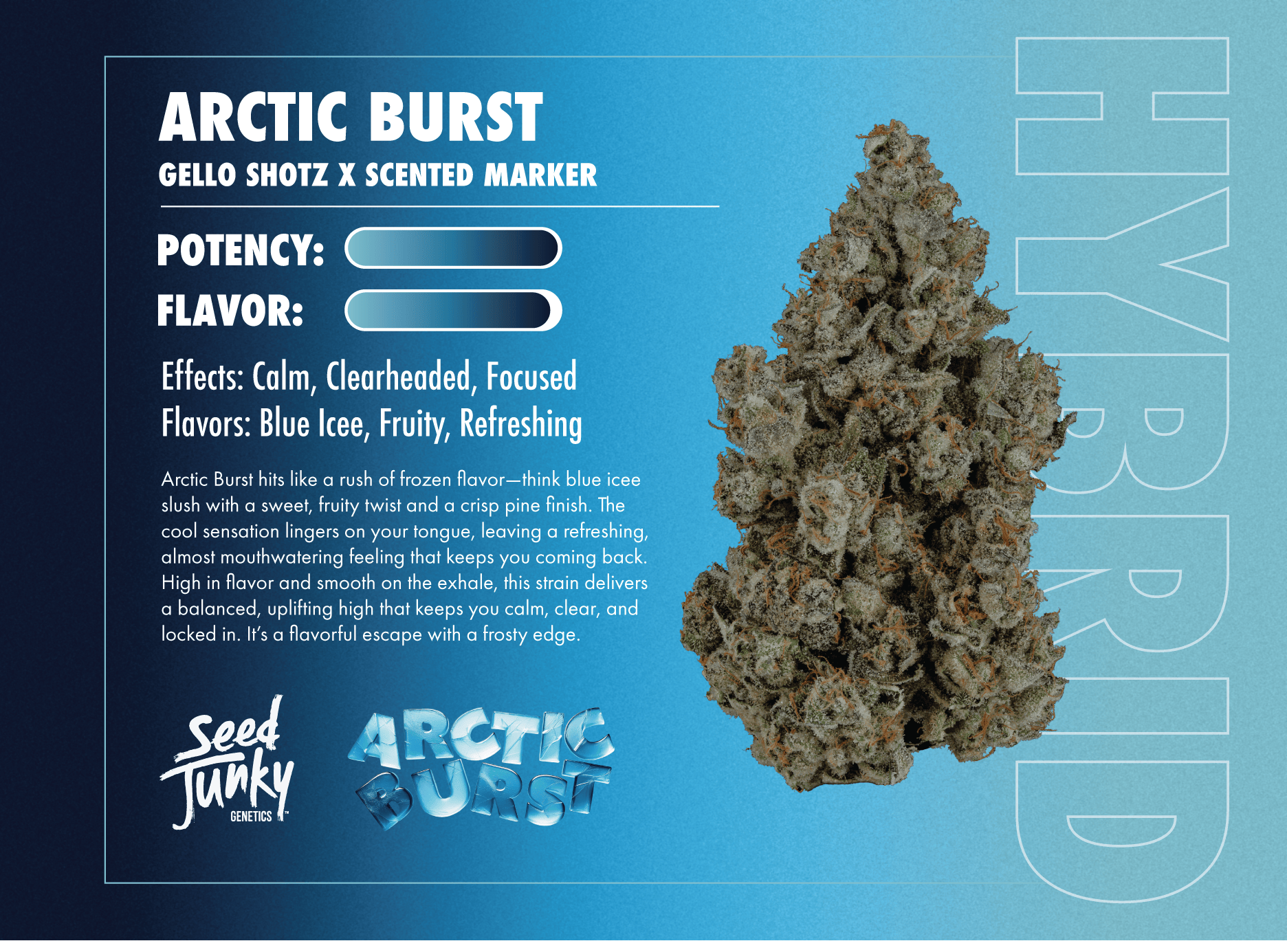 Seed Junky - Arctic Burst | Big Buds | 3.5g - 1