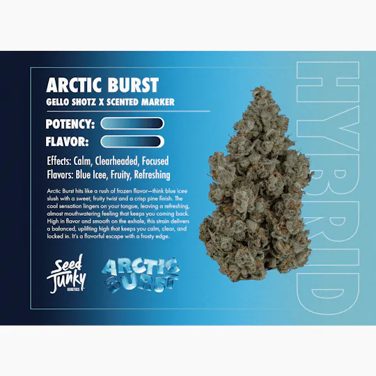 Seed Junky - Arctic Burst | Big Buds | 3.5g - 1
