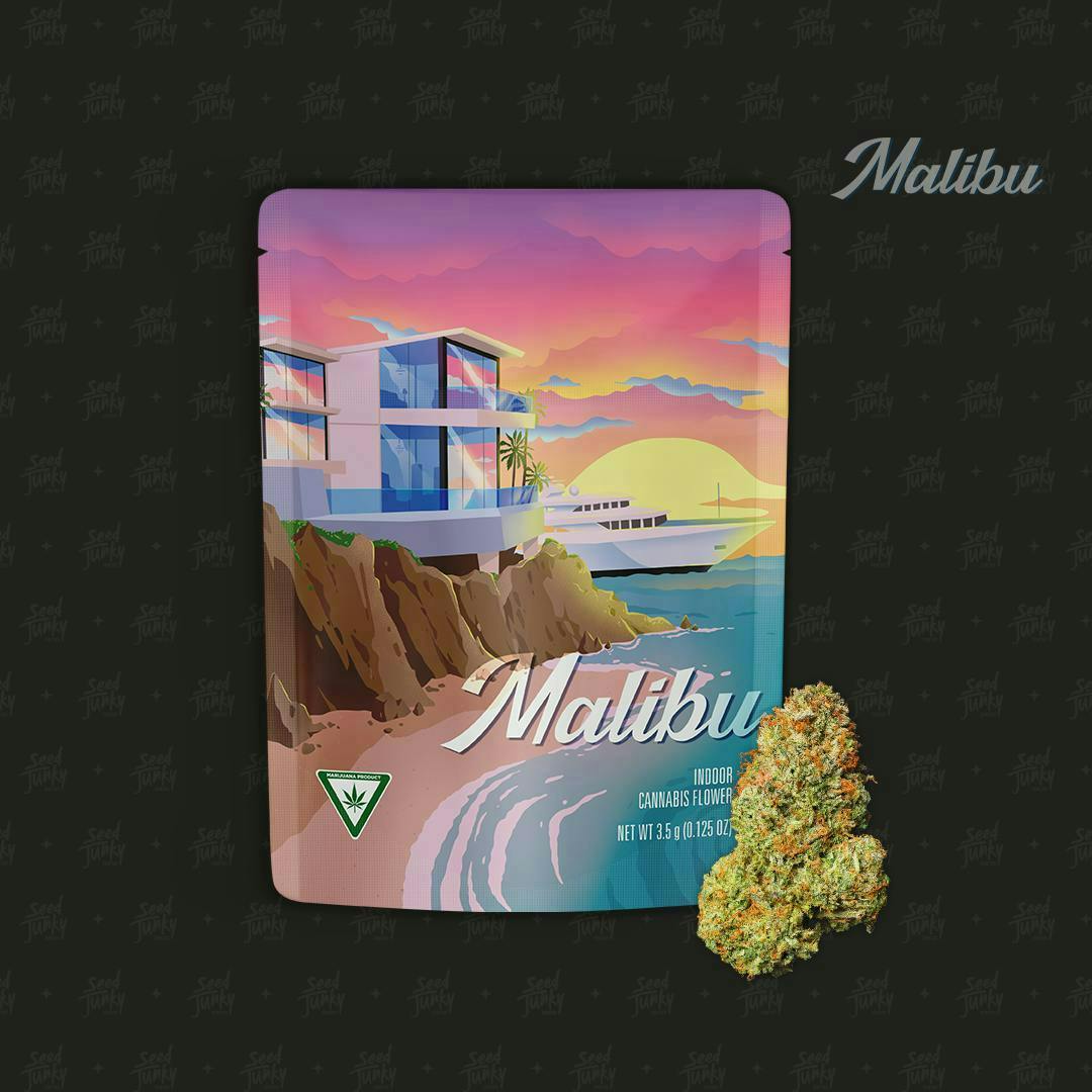 Seed Junky - Malibu | Big Buds | 3.5g - 1