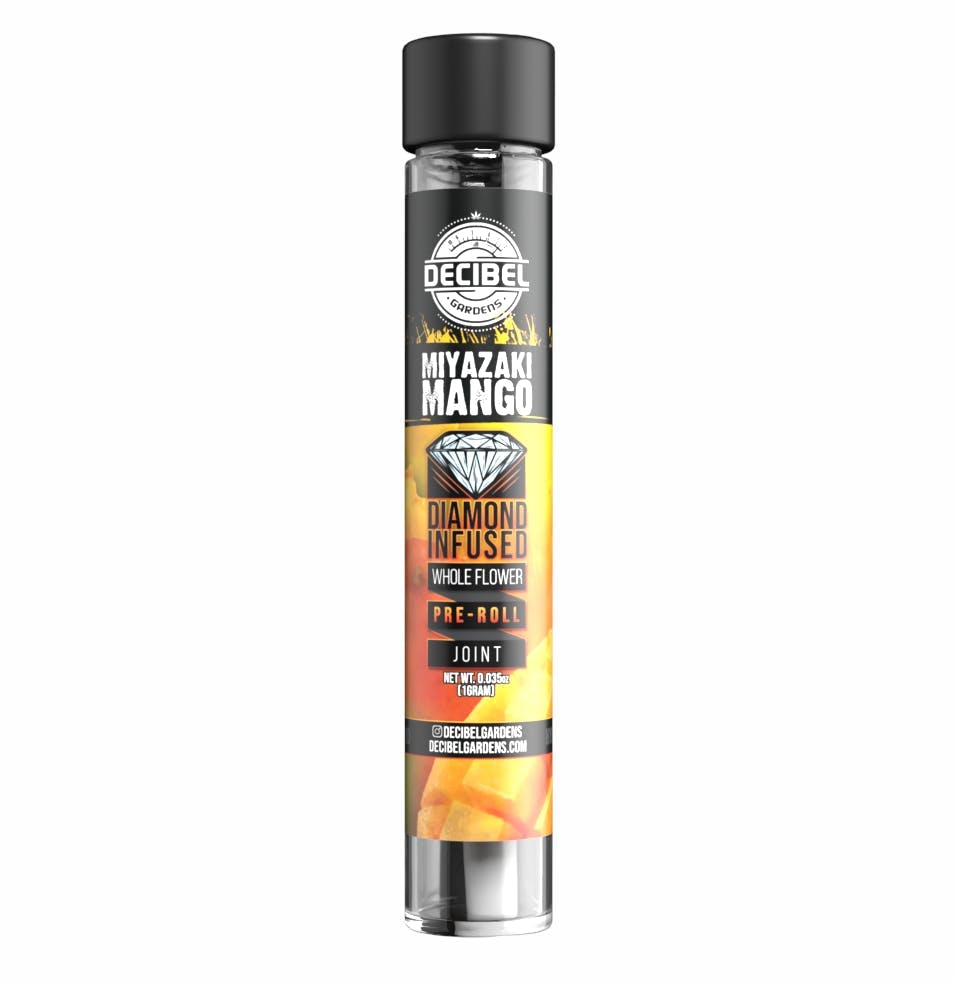 Decibel Gardens - Miyazaki Mango | Infused Pre Roll | 1g - 1