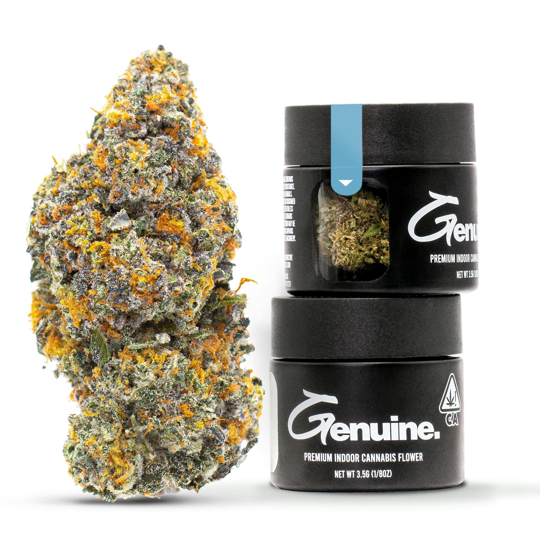 Genuine - Gelato #41 | Big Buds (Jar) | 3.5g - 1
