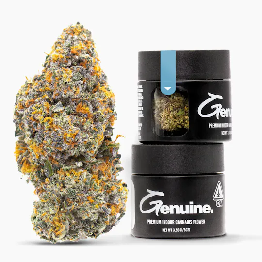 Genuine - Gelato #41 | Big Buds (Jar) | 3.5g - 1