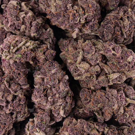 Pacific Stone - Pacific Stone | Purple Tangie | Big Buds | 1g - 1