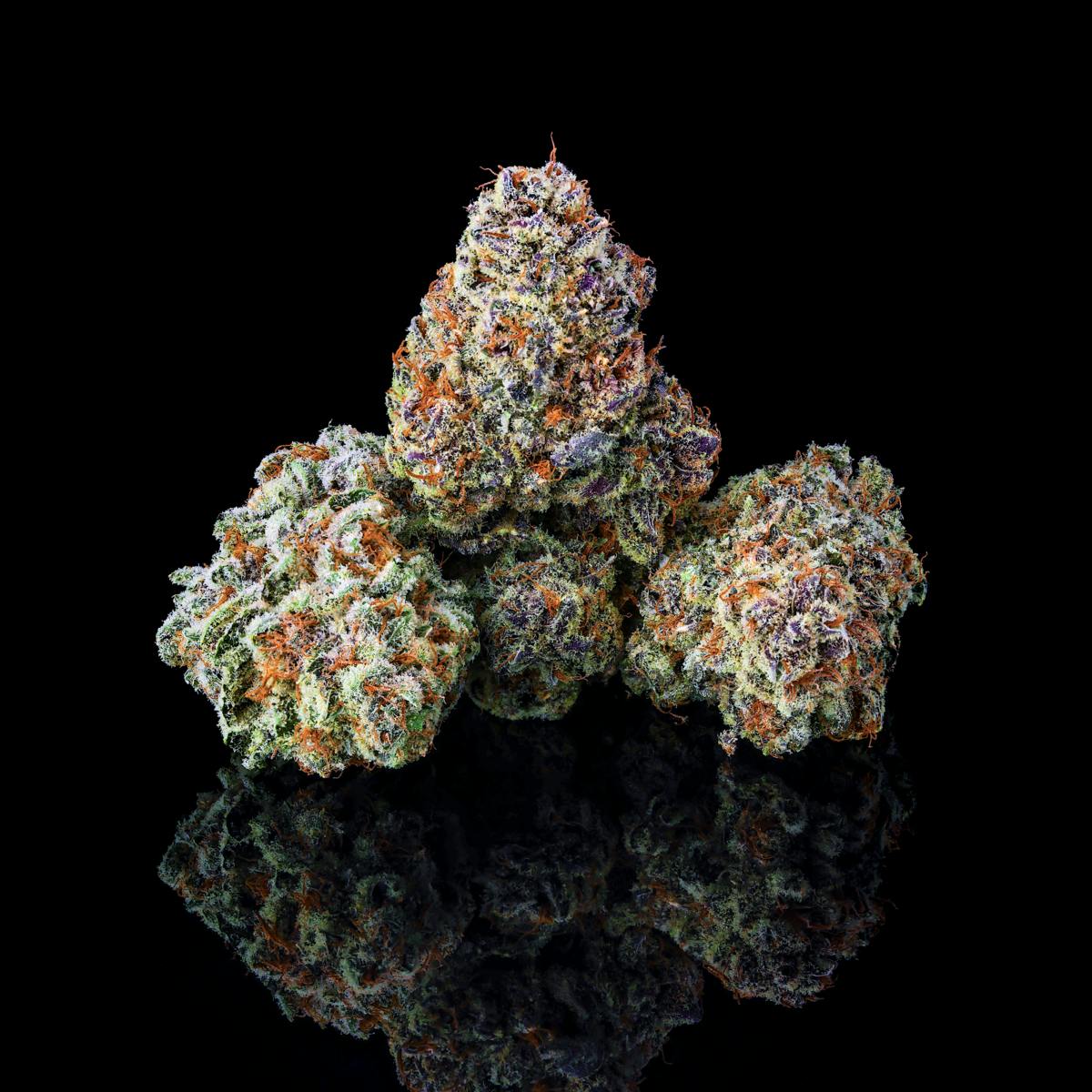 Maven Genetics - ZuZu Berry Pre-Roll [1g] - 1
