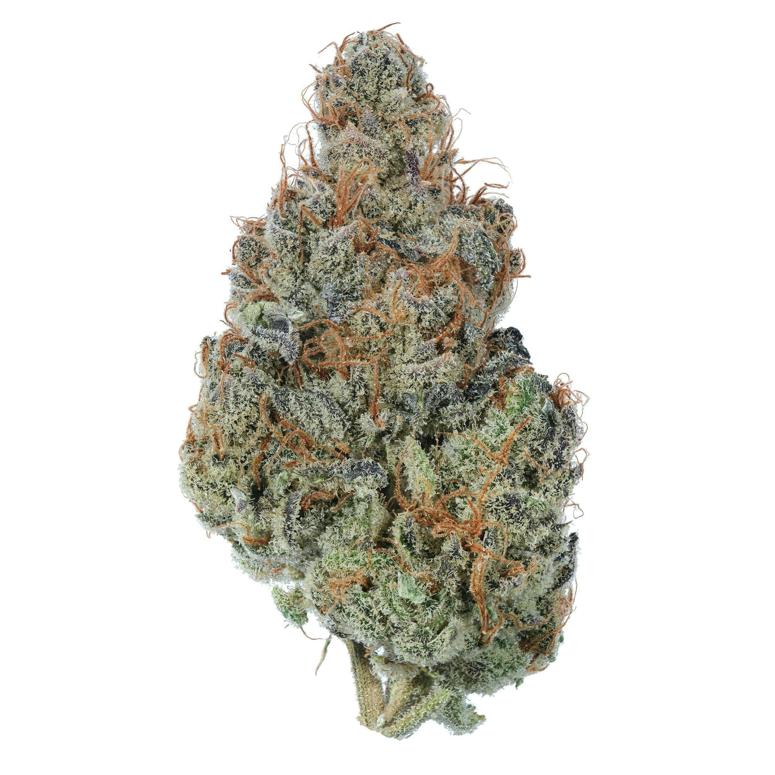 Zero Gravity Cannabis - Flower - Peanut Butter Breath 50/50 Hybrid - 1