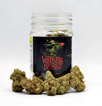 Phat Panda - Valley Delight | Big Buds | 14g - 1