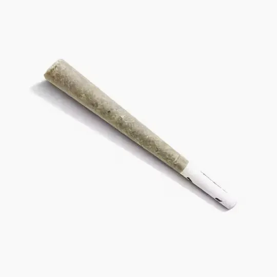 Jetty Extracts - Grape Gas x Grape Gas | Infused Joint | 1g - 1