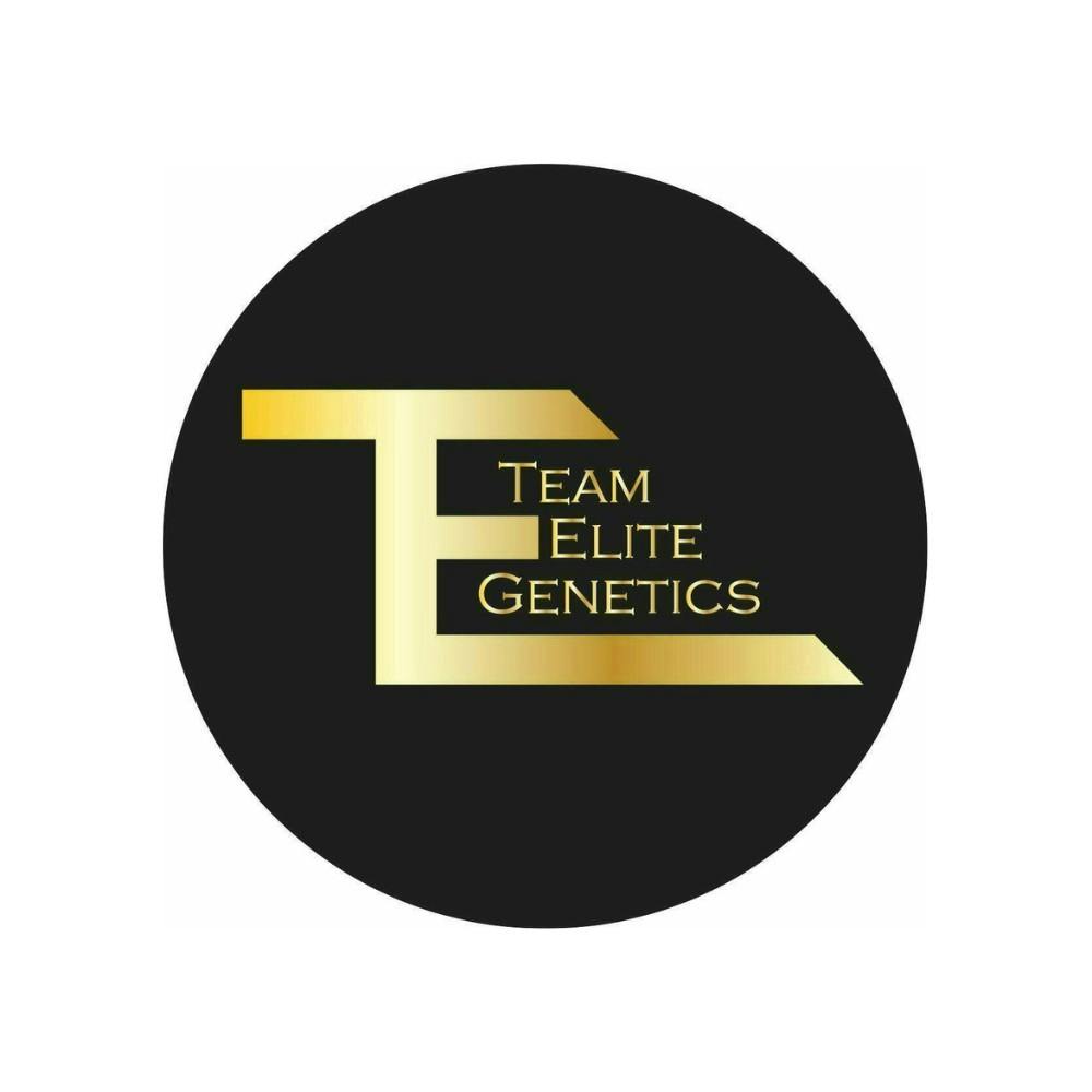 Team Elite Genetics - Trichome Minors | Papaya Mon | Solventless Live Rosin | 1g - 1