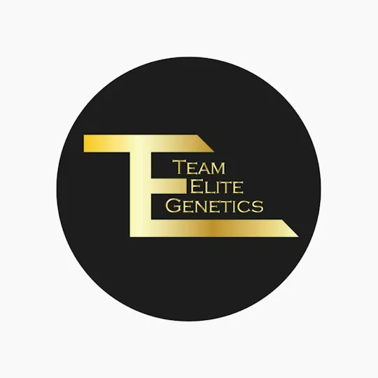 Team Elite Genetics - Trichome Minors | Papaya Mon | Solventless Live Rosin | 1g - 1
