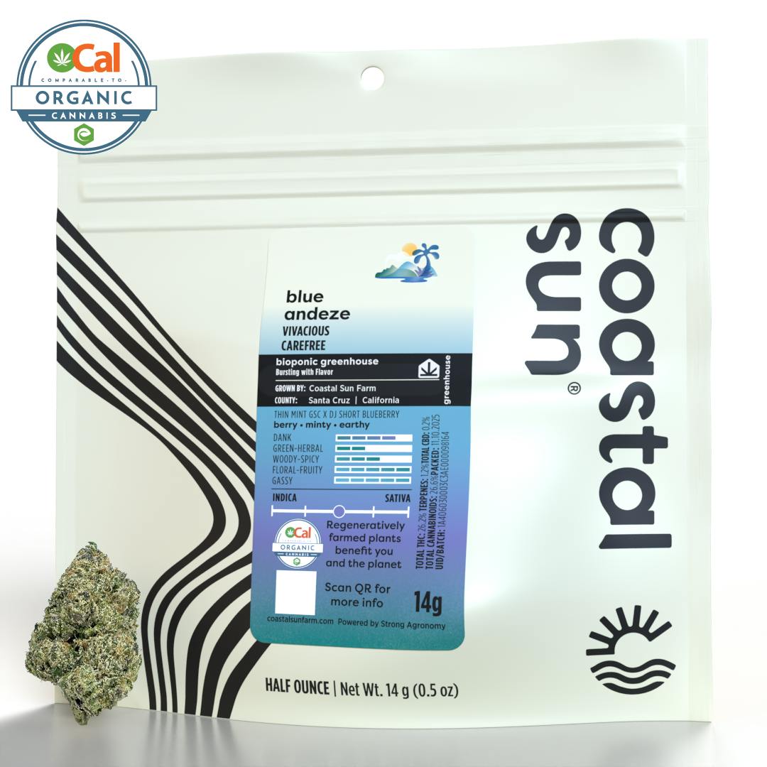 Coastal Sun - Blue Andeze Greenhouse Flower 14g - 1