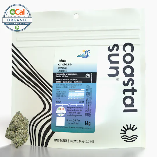 Coastal Sun - Blue Andeze Greenhouse Flower 14g - 1