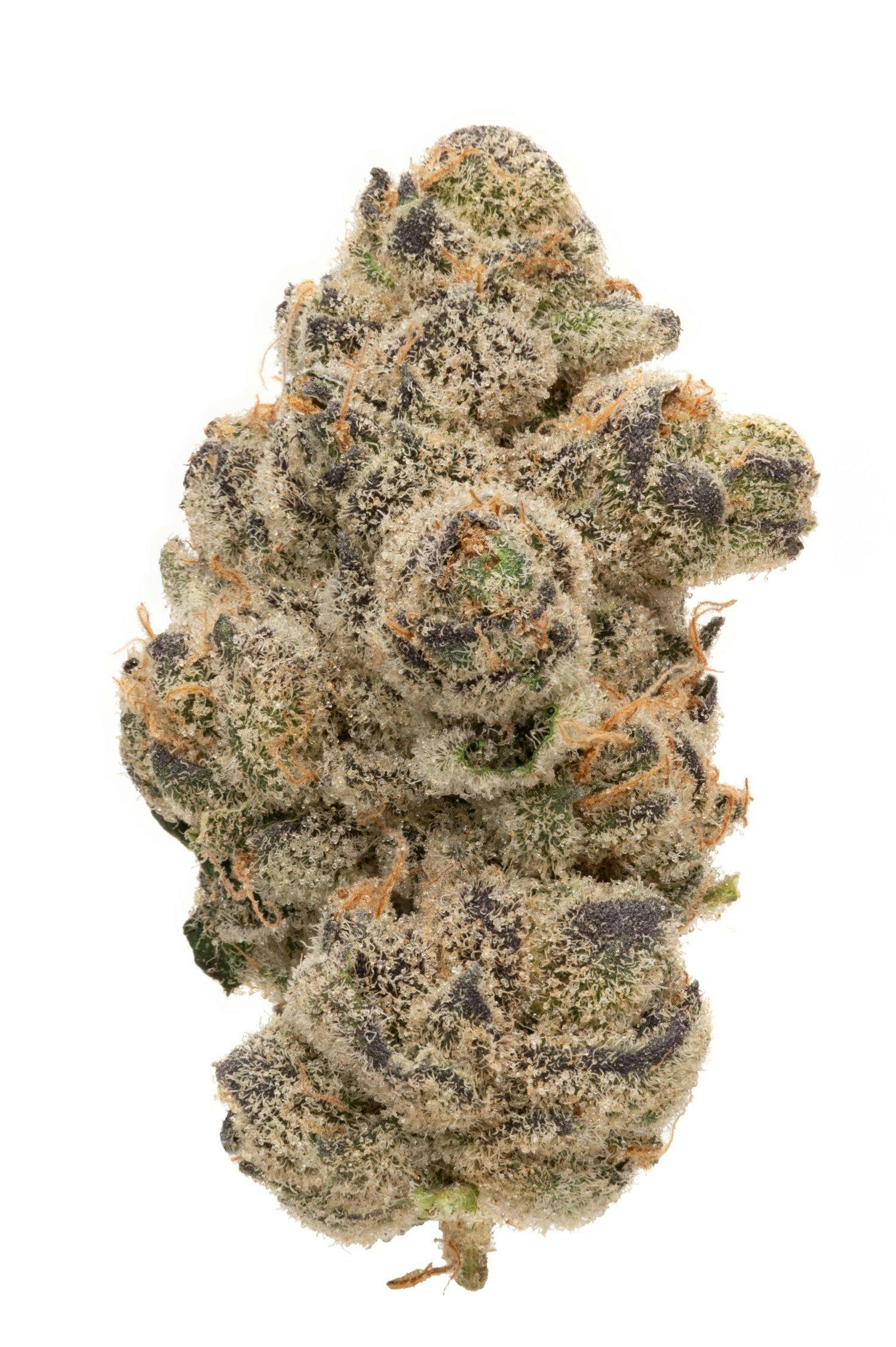 Rolling Green Cannabis - Bananaconda | Premium Flower | 3.5g - 1