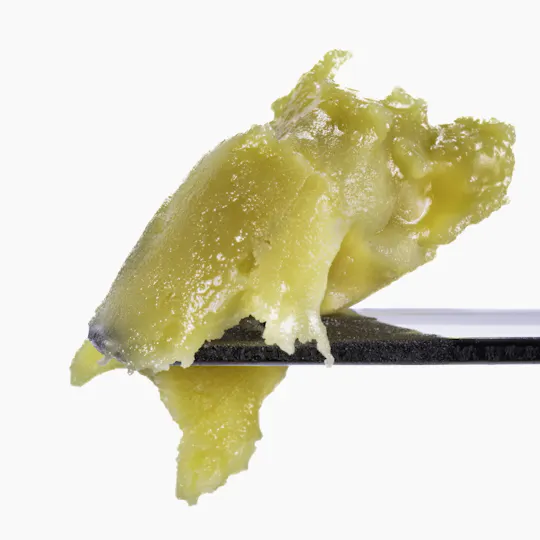 West Coast Cure - Gravity Apple - 1G Live Rosin Cold Cure Badder - Tier 3 - 1