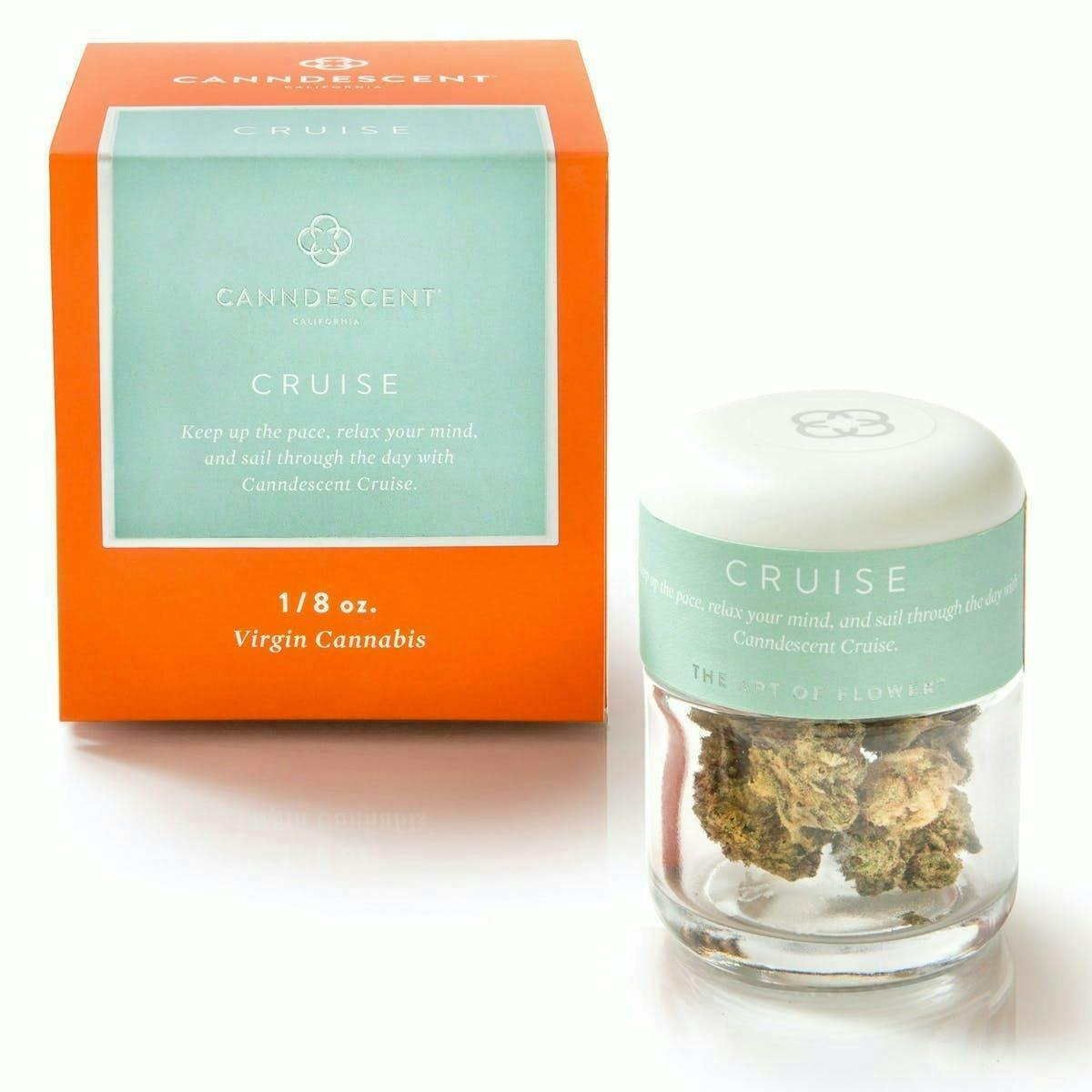Canndescent - CRUISE | Big Buds | 3.5g - 1