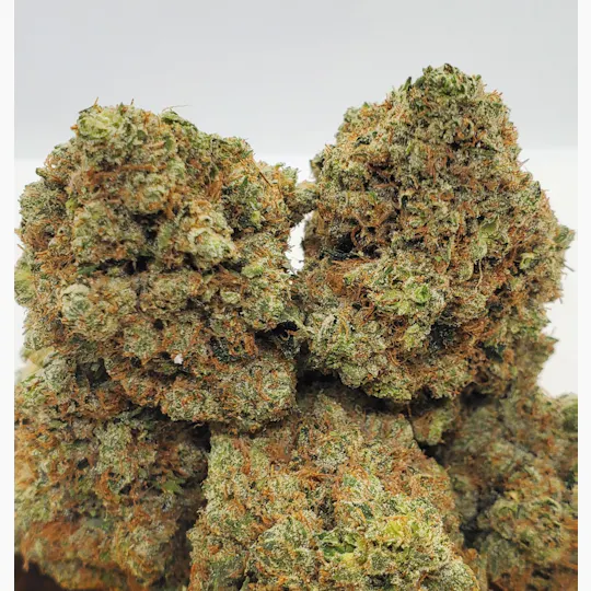 World Class Cannabis - King Louie XIII - 1