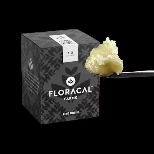 FloraCal Farms - Purple Plague | Live Rosin Badder | 1.0g - 1