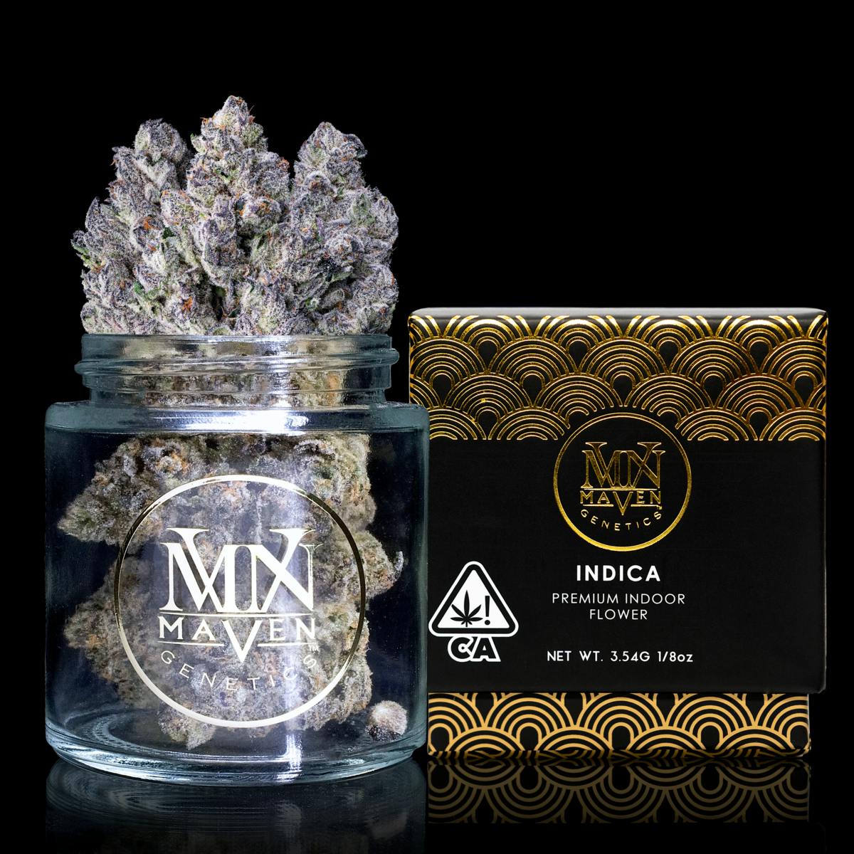 Maven Genetics - 98K - 1