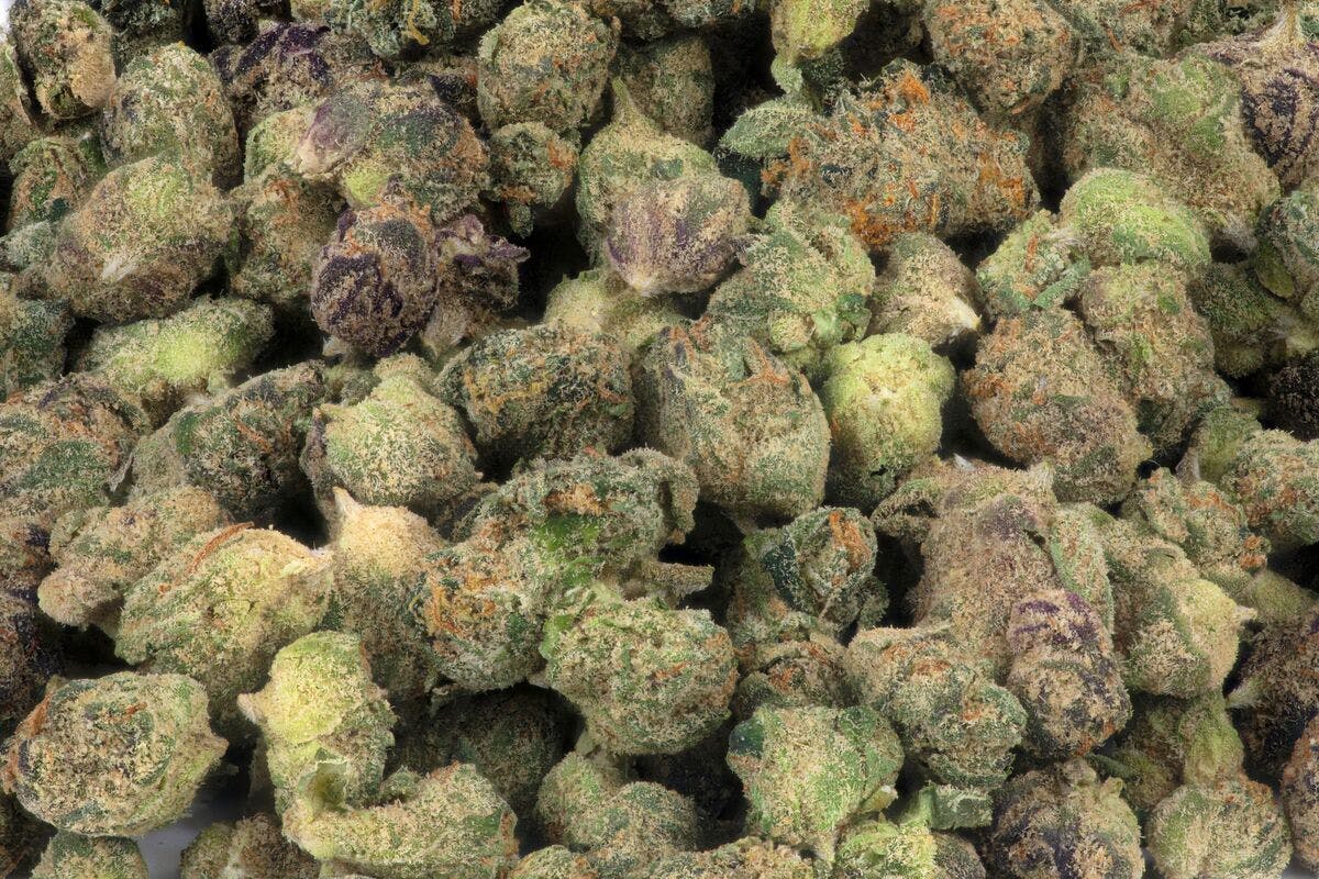 Micro Greenz - Micro Greenz | Rainbow Runtz x G33 | Smalls - 1