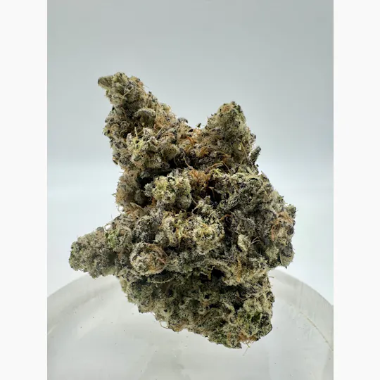 Genuine - LA Pop Rockz | Big Buds (Mylar) | 14g - 1
