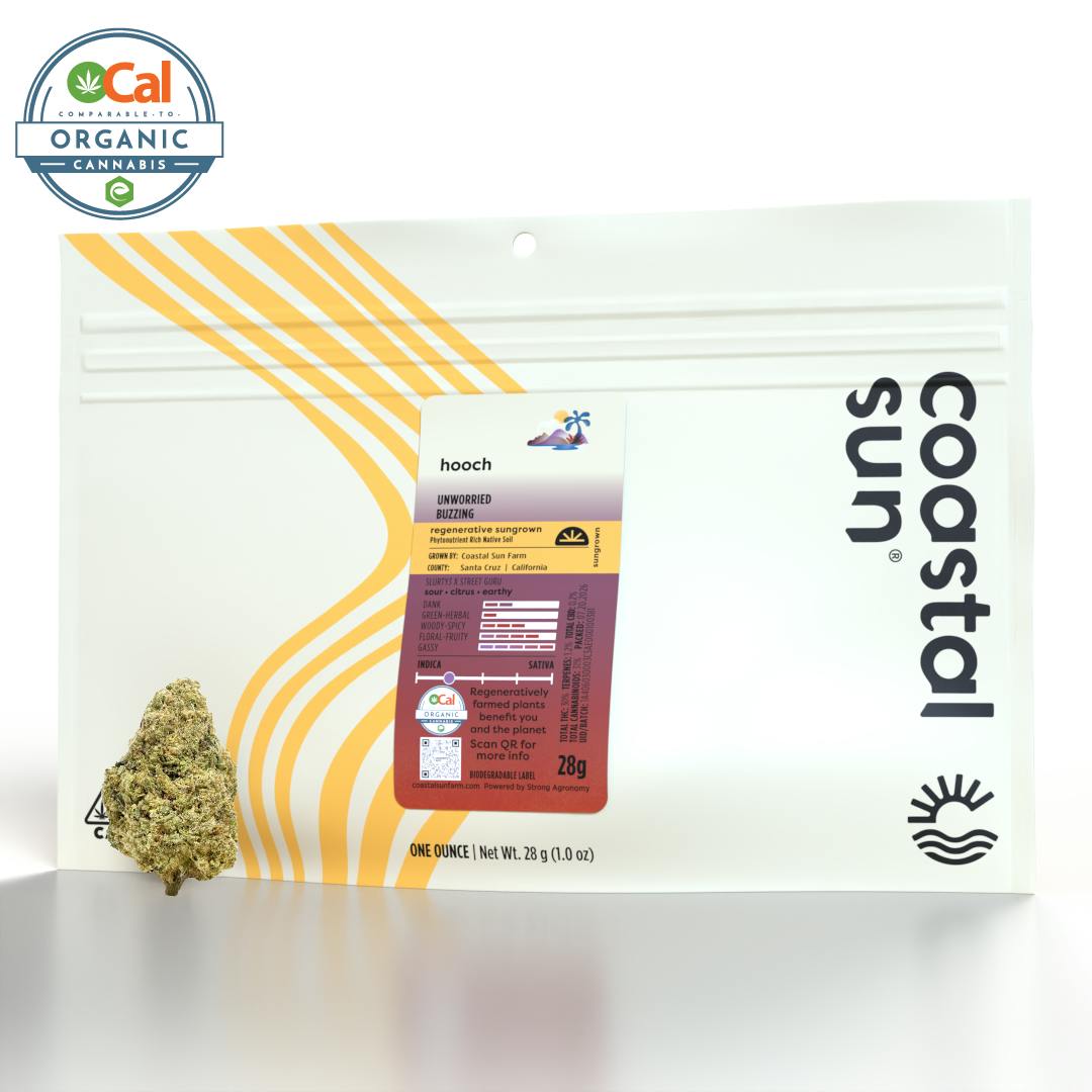 Coastal Sun - Coastal Sun | Hooch | Sungrown Flower | 28g - 1