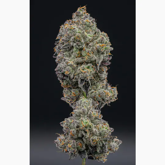 Green Dynasty - Funkdafied | Smalls | 14g - 1