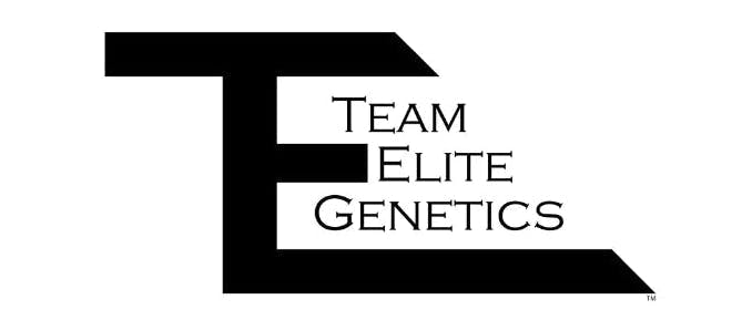 Team Elite Genetics - Styrofoam Cup | Live Rosin | Cold Cure Badder | 1g - 1