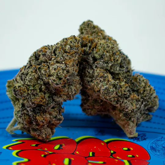 TEDS BUDZ - Teds Budz | Blueberry Larry | 3.5g - 1