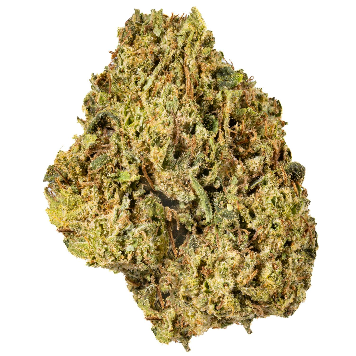 West Coast Cure - White Runtz - 14G Premium Flower - 1