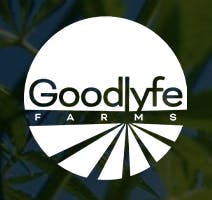 Goodlyfe Farms - OG x GMO | Big Buds | 28g - 1