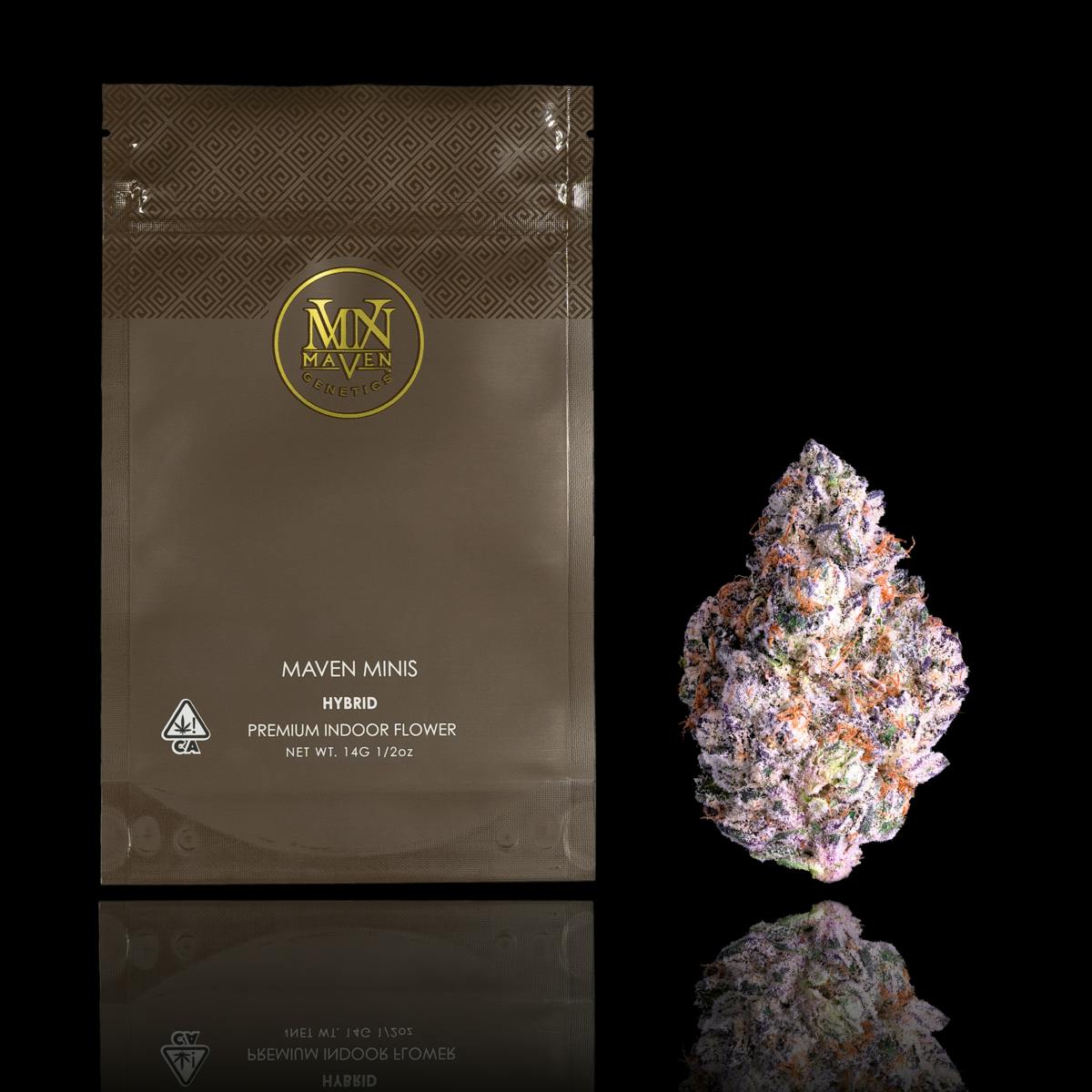 Maven Genetics - Shangri-La Maven Minis [14g] - 1