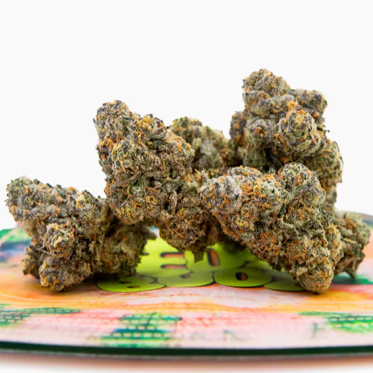 TEDS BUDZ - Teds Budz | Pootie Tang | 3.5g - 1