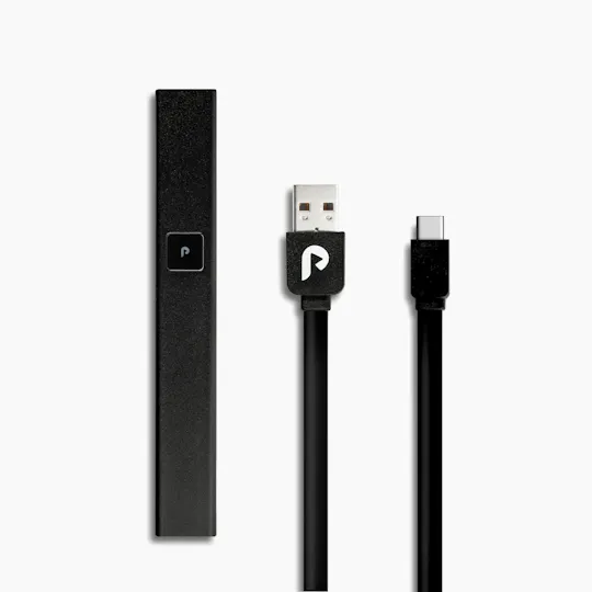 PLUGPLAY™ - PLAY Battery - Standard Black USB-C - 1