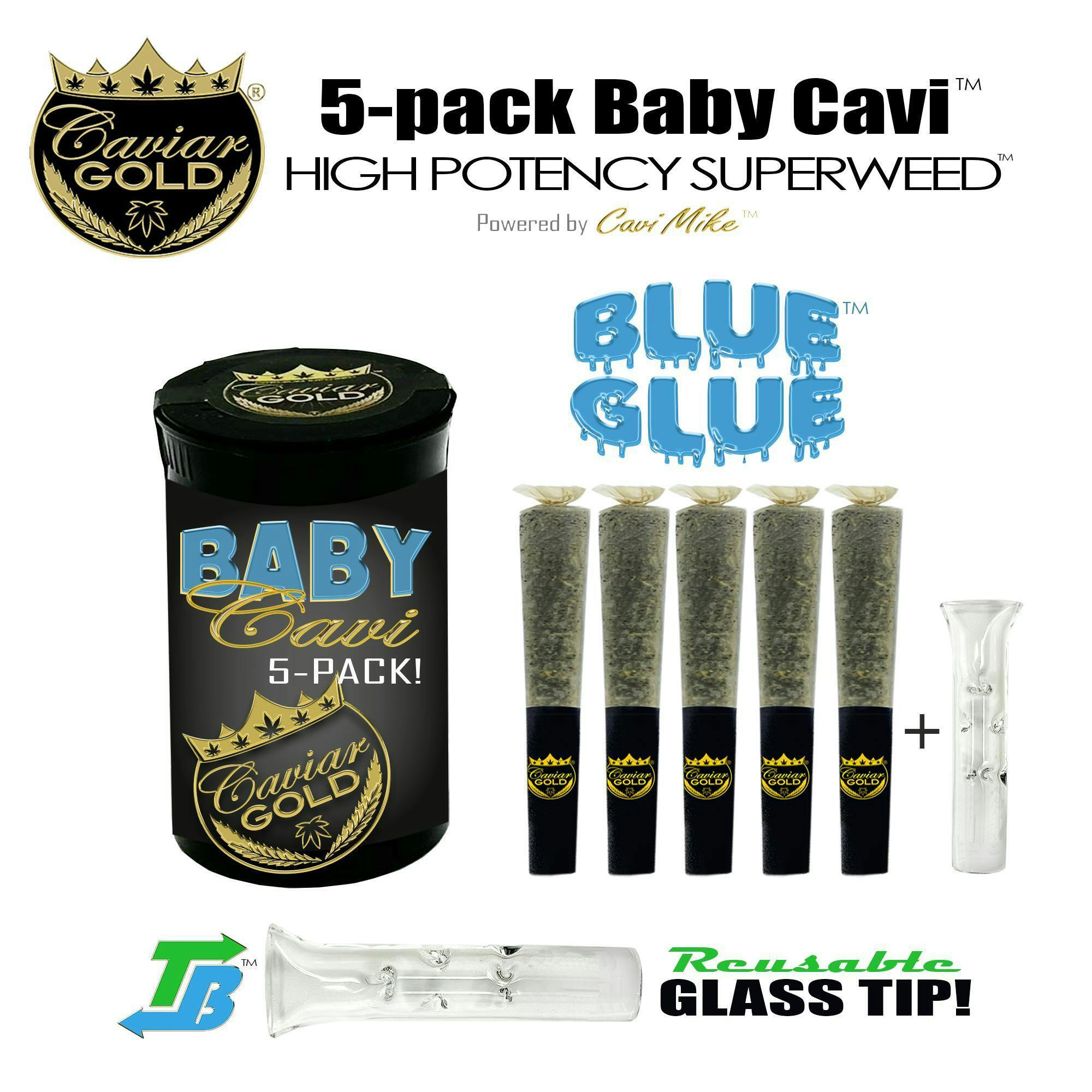 Caviar Gold - Baby Cavi | Infused Pre-Roll | Blue Glue | 2.5g | 5pk - 1
