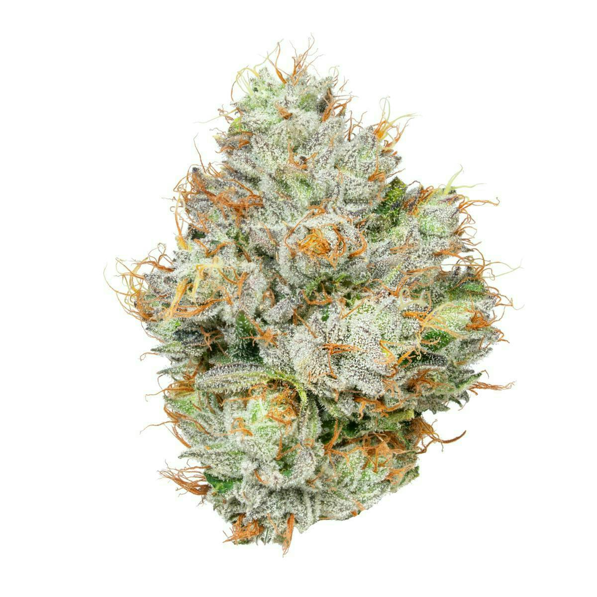 Alien Labs - Biskanté | Indoor Flower | 10g - 1