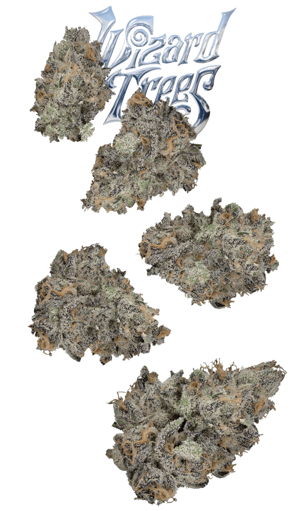 Wizard Trees - Black Magic | Smalls | 7g - 1