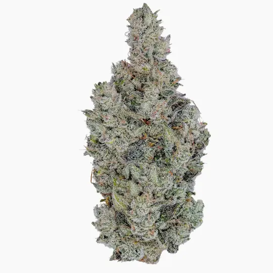 Fig Farms - Fig Farms | Holy Cow! | Big Buds - 1