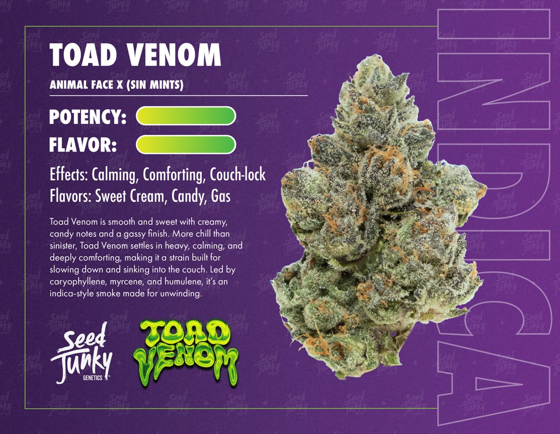 Seed Junky - Toad Venom | Big Buds | 3.5g - 1