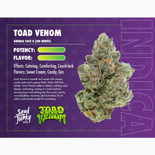 Seed Junky - Toad Venom | Big Buds | 3.5g - 1
