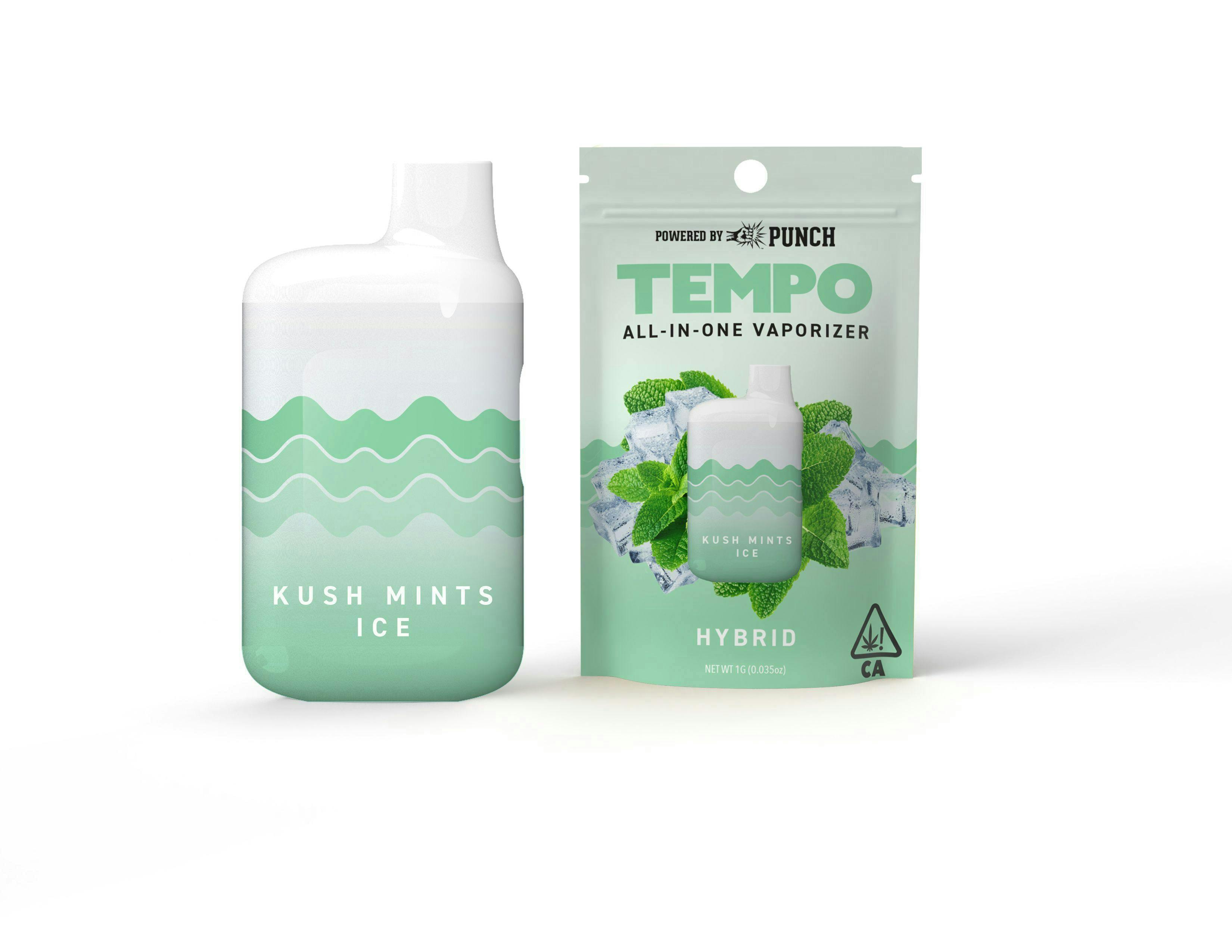 Tempo - Tempo | Kush Mints Ice | AIO Disposable | 1g - 1