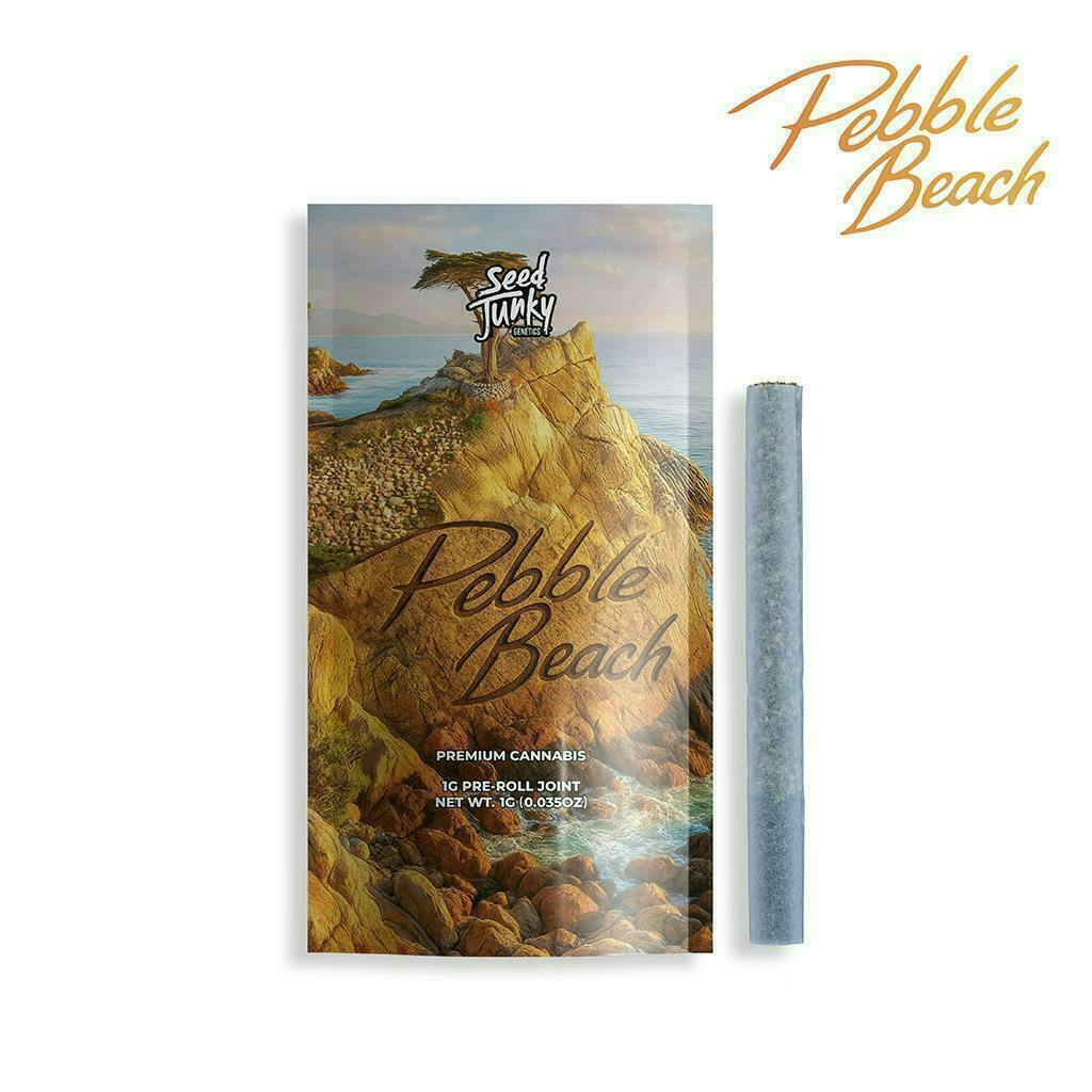 Seed Junky - Pebble Beach | Joint | 1g - 1