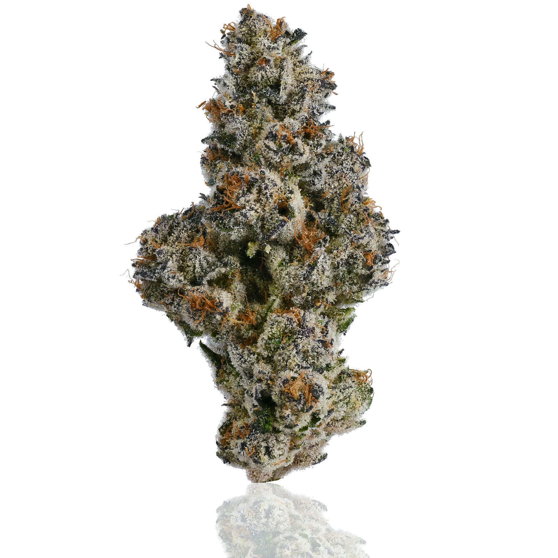 CAM - CAM | Pink Certz | Big Buds | 14g - 1