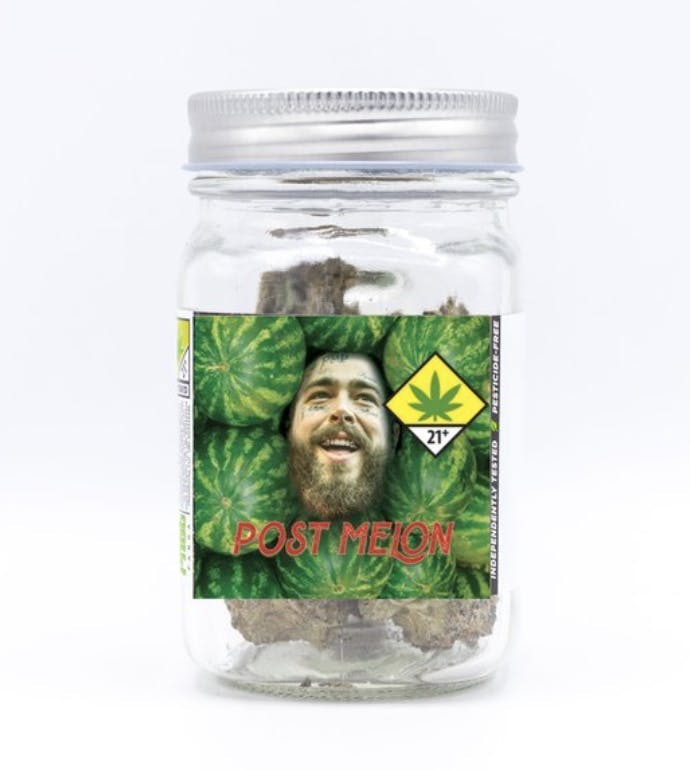 Phat Panda - Platinum | Post Melon | Big Buds | 7g - 1
