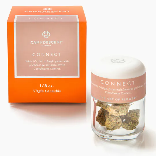 Canndescent - CONNECT | Big Buds | 3.5g - 1
