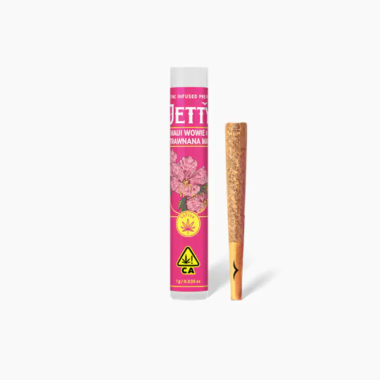 Jetty Extracts - Tangie Cookie Burger x Strawnana Mac | Infused Joint | 1g - 1