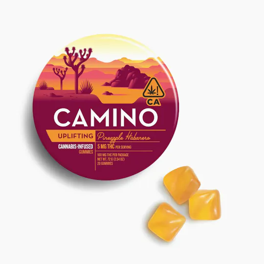 Camino - Uplifting | Pineapple Habanero Gummies | 100mg | 20ct | 5mg/ea - 1