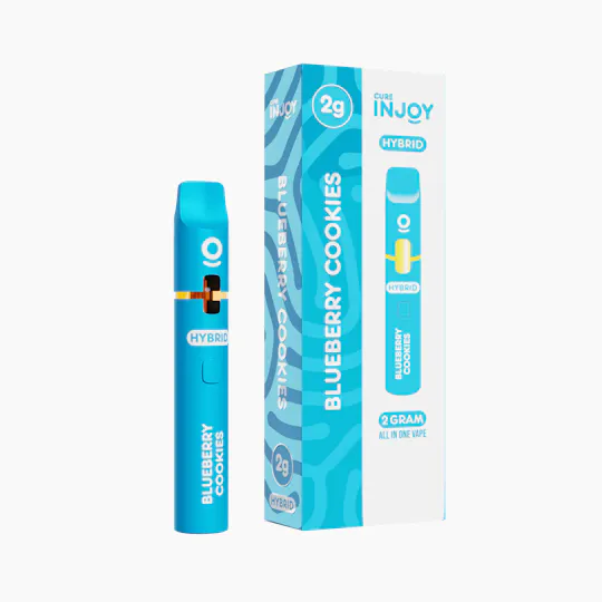 Cure Injoy - Blueberry Cookies | Disposable | 2g - 1