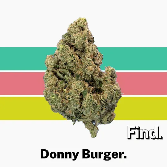 Find - Donny Burger | Flower | 3.5g - 1