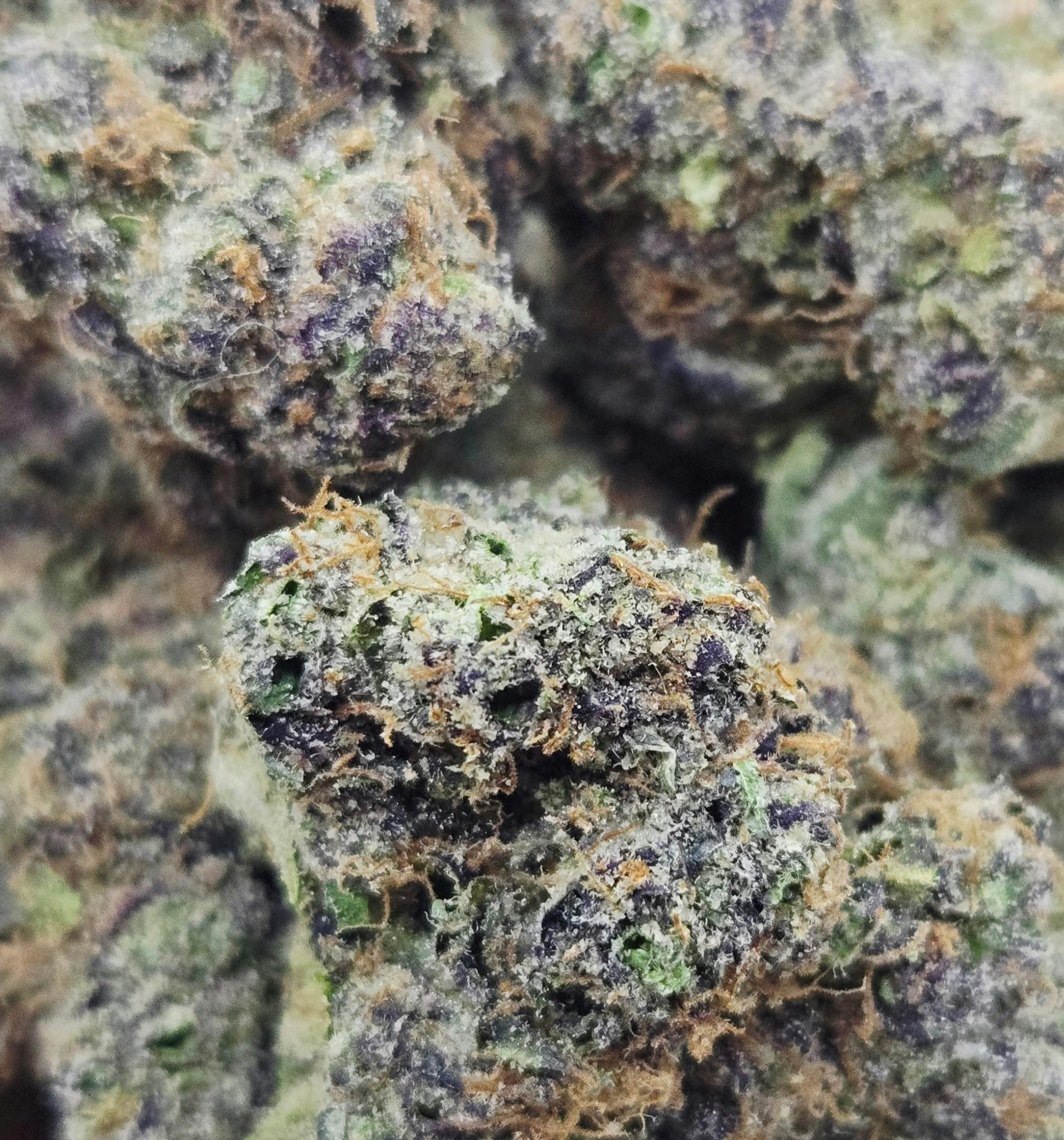 World Class Cannabis - Permanent Marker - 1