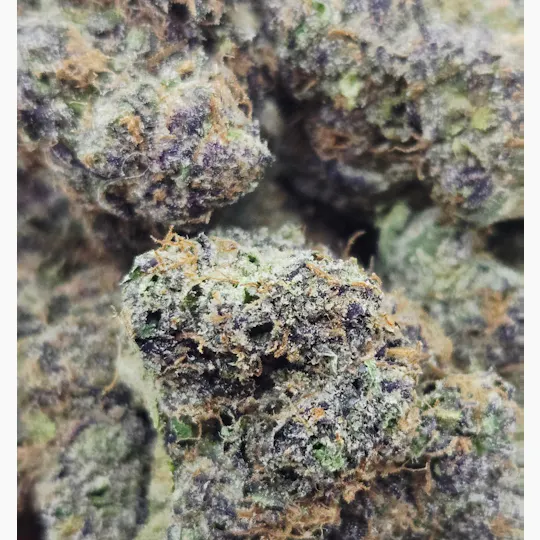 World Class Cannabis - Permanent Marker - 1